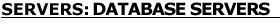 Servers: Database Servers